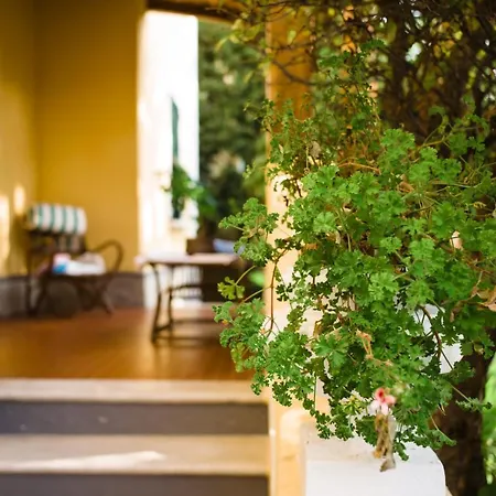 Hotel Cynthia-2