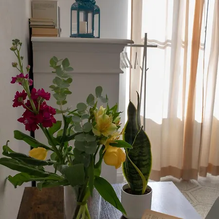 Guest House Le Due Lagune-2