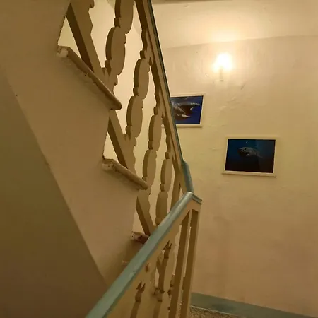 Demivie Guesthouse-2