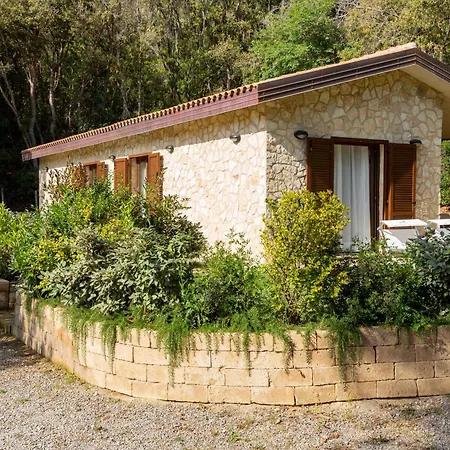 Azienda Agricola Club Le Cannelle-2