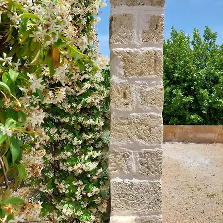 Villa Troisio-2