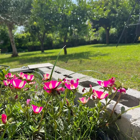 B&B Da Francesco-2