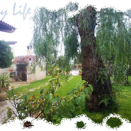 Mylife B&B Country House-3