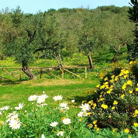 Agriturismo i Moresani-2