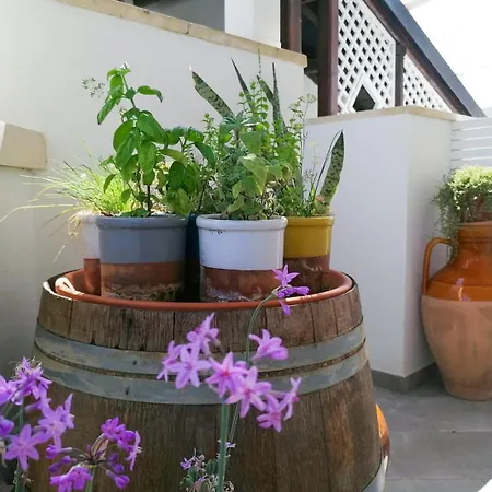 Casa Flora - Bed And Breakfast-2