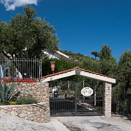 Tra Gli Ulivi-3