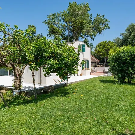 Villa Morea&Rooms in Procida-2