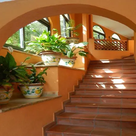 Antelima B&B-3