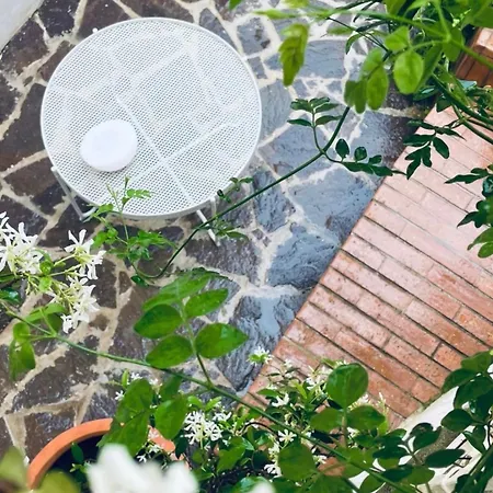 Casa Ripa-2
