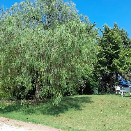 B&B Acqua e Sale-3