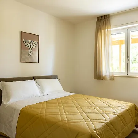 Color Dream Residence-3