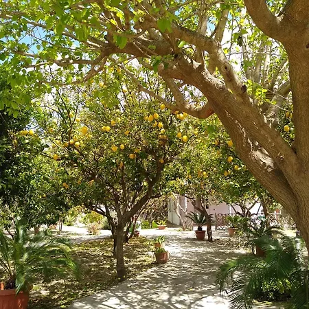 Residence Limoneto Ischia-3
