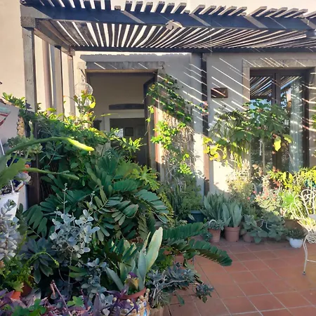 Crociferi B&B-2