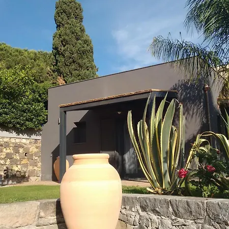 Avocado B&B Beyond-3