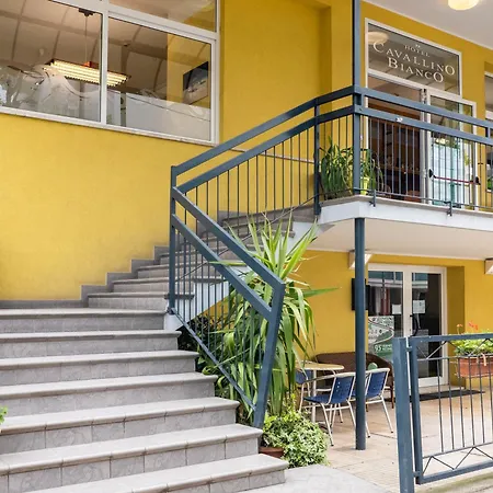 Hotel Cavallino Bianco Rimini-3