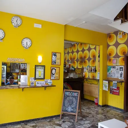 Sunflower City Student Hostel & Bar-3