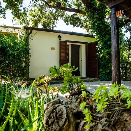 Agriturismo Serignano alle Rocchette-3