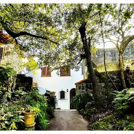 Villa Talia Sweet Rooms B&B-3