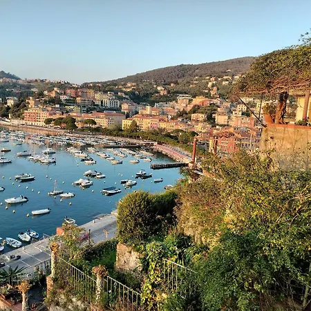 Lerici Charme-3