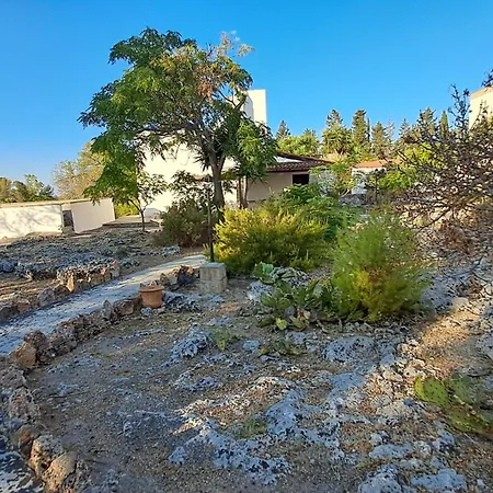 Masseria Artemisia-3