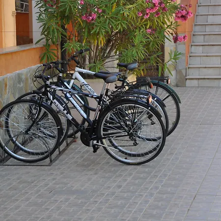 Palm Village-2