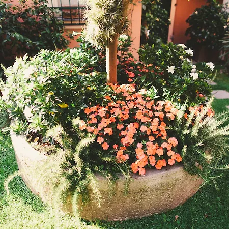 Albergo Minerva-2