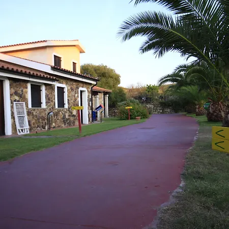 Amareclub Le Rose-2