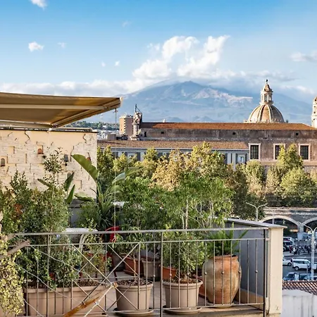 Rooftop53-3