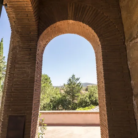 Fattoria Pian Di Rocca-3
