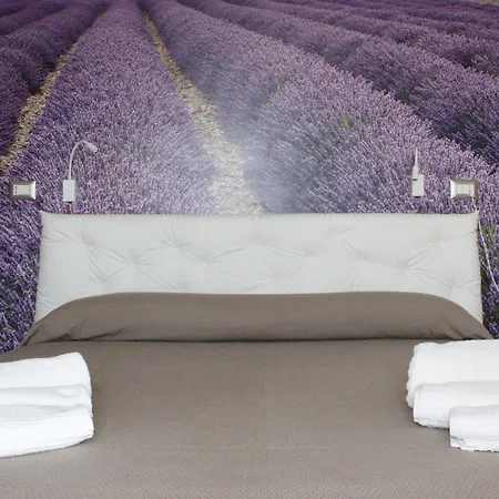 Hotel Royal - Beauty & Spa-3