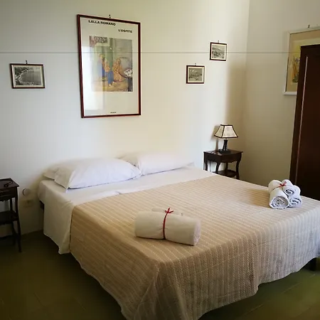Il Sogno di Vincenzo e Maria-3