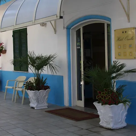 Hotel Ornella-3