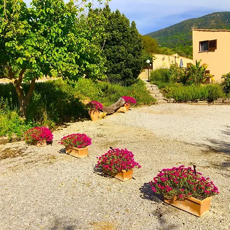 Cuore Della Valle-3