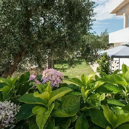 Residenza Aurora-2