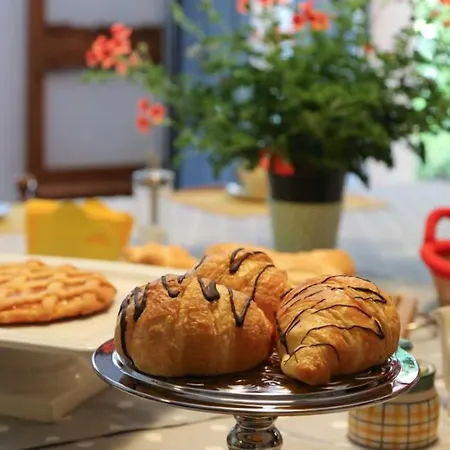 B&B Rabbit-2