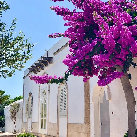 Masseria Rienzo-2