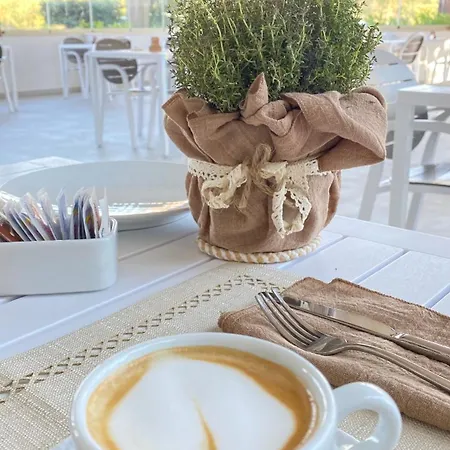 Noha Lifestyle Hotel - Adults Only-2