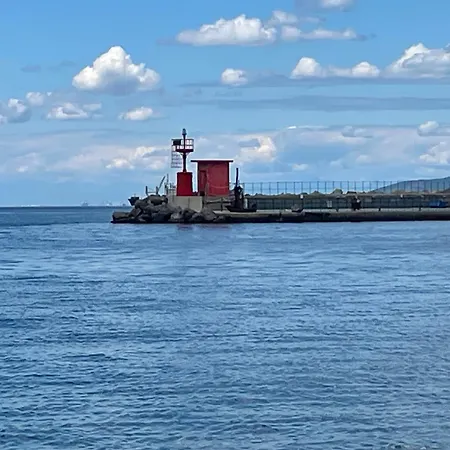 Trieste Sea Life-2