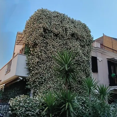 B&B San Francesco Pescara Centro-3