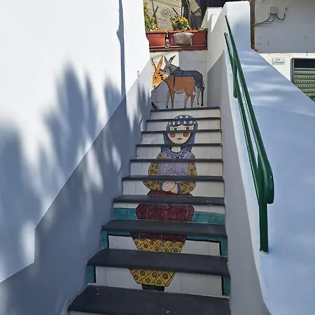 B&B Benincasa-3