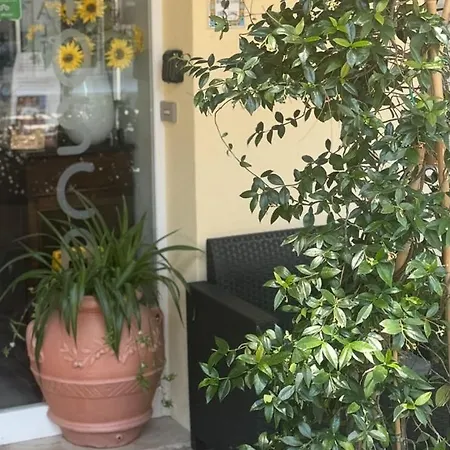 Hotel Garni Tosca-2