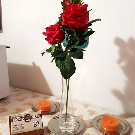 Boviobed B&B-2