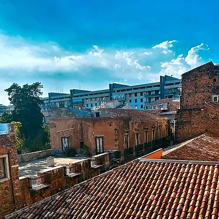 B&B Stramondo-2