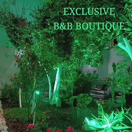 Patio 101 " Exclusive " B&B Boutique-3