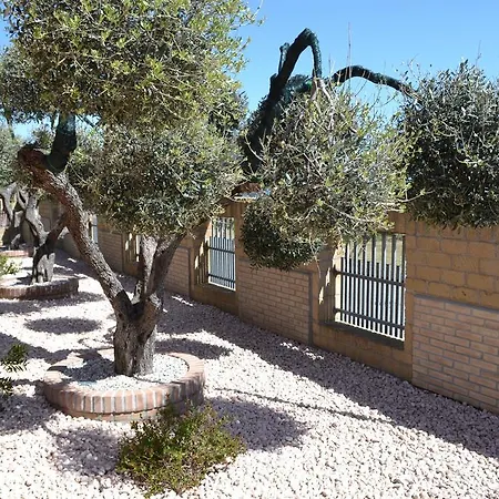 B&B Colle Acquabella-3