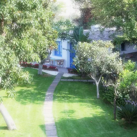 Avocado B&B Beyond-2