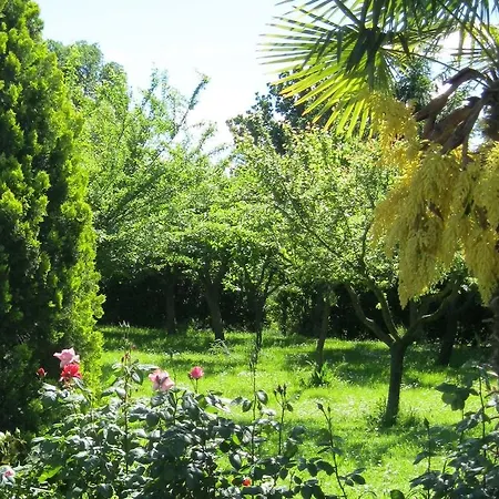 B&B Cristina-3