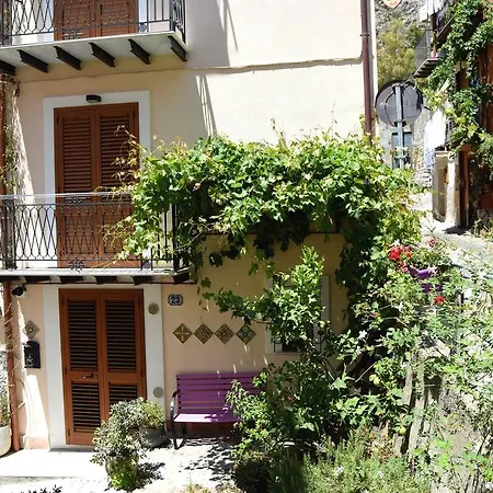 La Casa del Geko-3