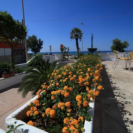 Hotel Albatros-2