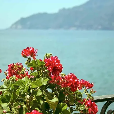 B&B Fronte Del Mare-3